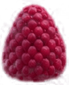 raspberry