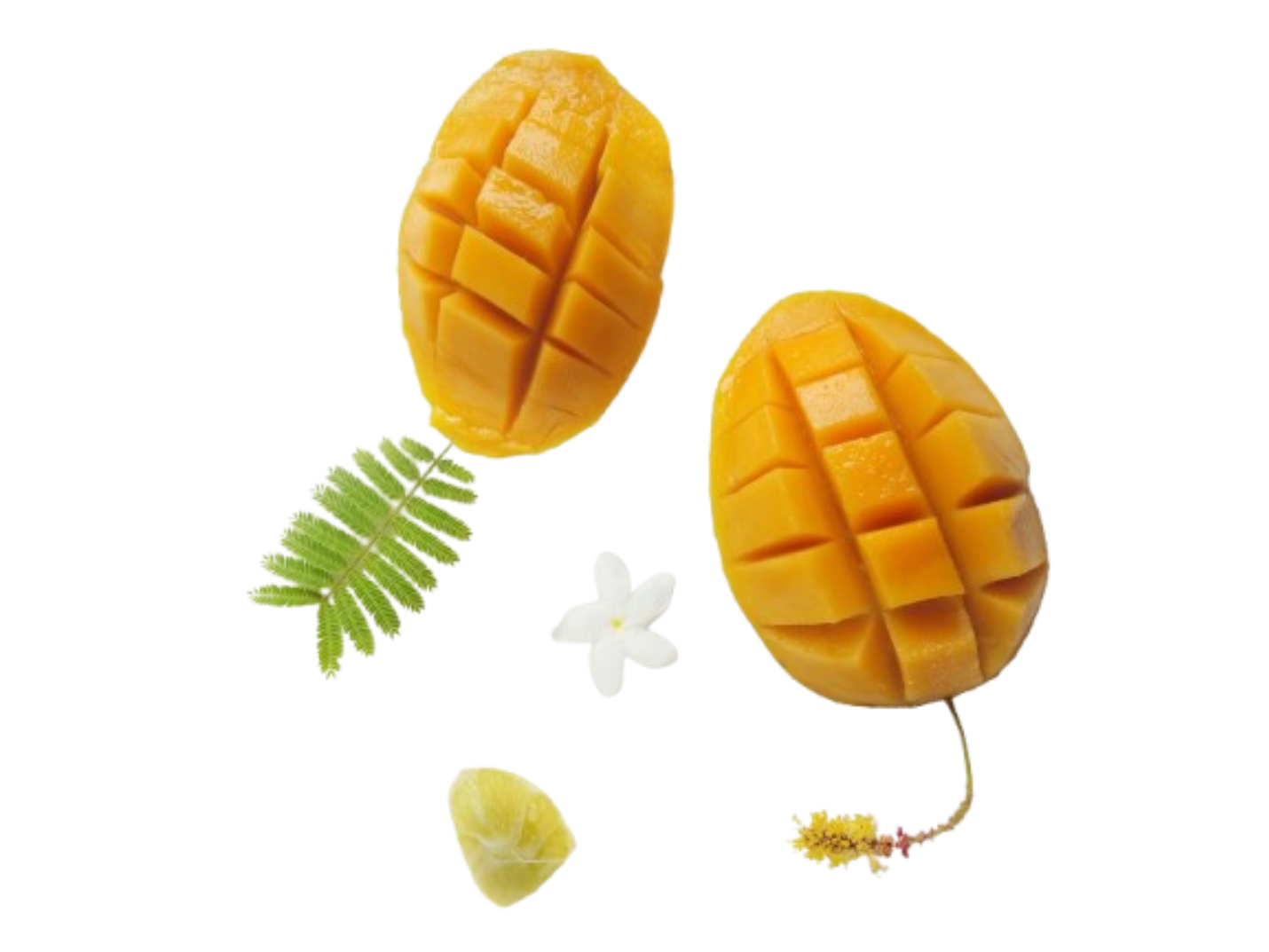 mango background detail